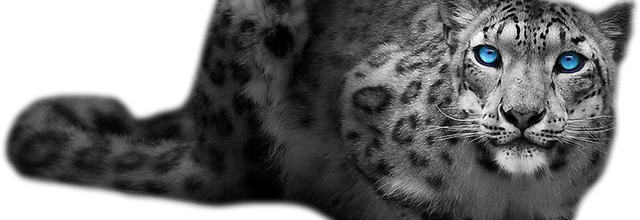 Tube animaux - page 31