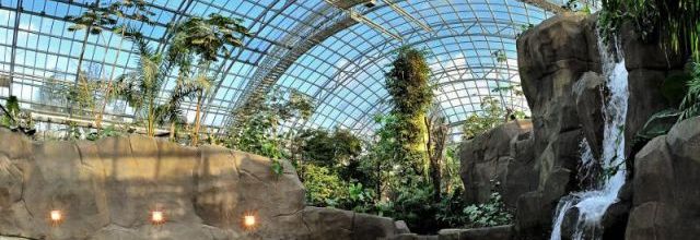 zoo de vincenne - la serre - oiseaux, reptiles, et autres bestioles 