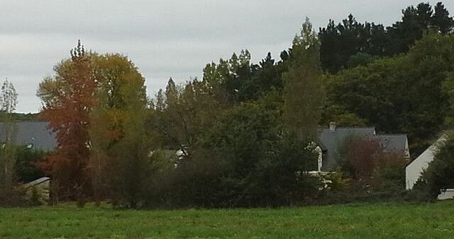 Rêverie sur le chemin