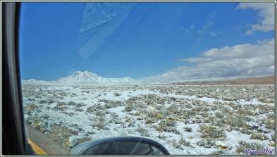 17/03/2022 suite : nous arrivons vers les 4000 m d'altitude, avec un première : un Nandou de Darwin, Lesser Rhea (Rhea pennata) ! - Désert d'Atacama - Chili