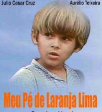 Meu Pé de Laranja-Lima. 1970.