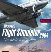 Flight simulator