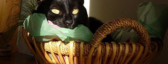 Un rayon de soleil