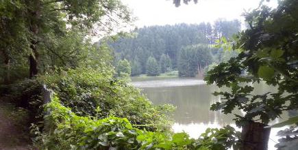 Leverkusen hautnah: Von der Diepentalsperre über den Murbach und die Wupper bis nach Opladen