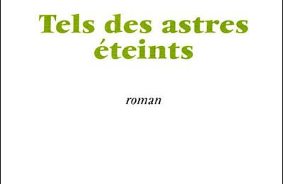 Tels des astres éteints ≡ Léonora Miano