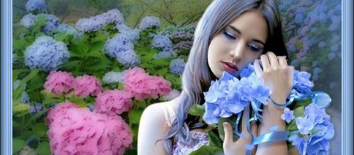 Les hortensias...