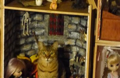 Coup de baguette magique chez Fauna!