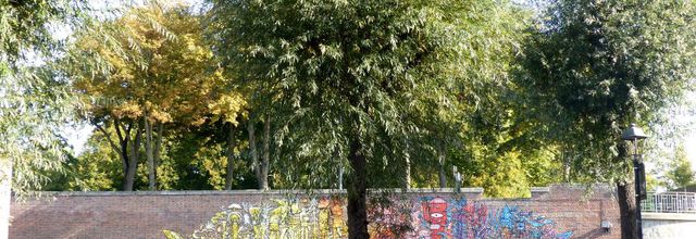 Vie urbaine amiénoise et ses couleurs 