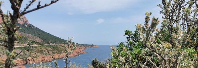 L'Esterel...(4)... A suivre...je suis de retour !