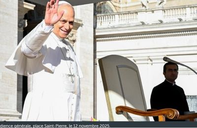 Audience générale: la fraternité universelle, trait essentiel du christianisme - VA