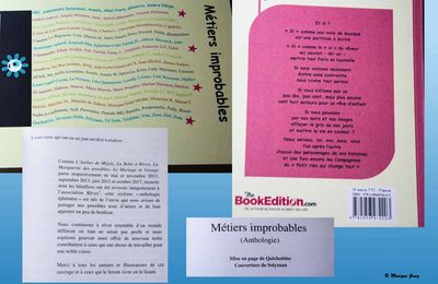 Recueil "Métiers improbables"