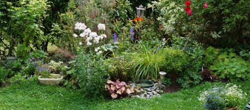 juillet au jardin