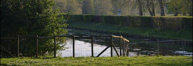 Rambouillet : balade autour de chez moi