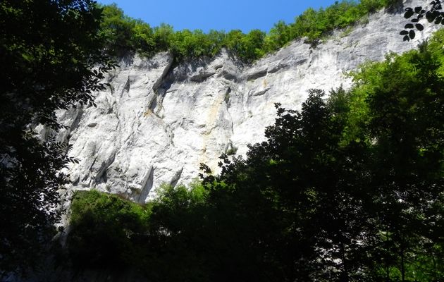 La cascade de la source du Lison 