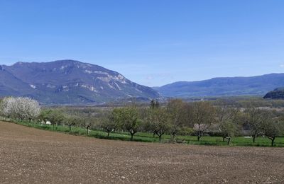 Le 10 avril 2022 : Au lac de Barterand