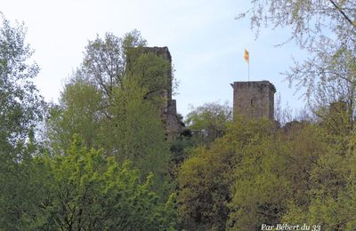 rapaces à Beaucens  (65)