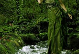 La solitude est verte ... 