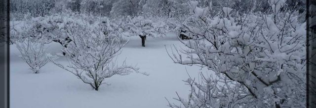Sous la neige