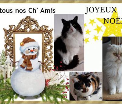 C'est Noël 