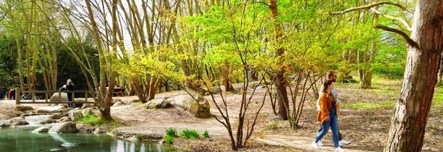 MARCHE DOUCE / JEUDI 15 MAI 2025 / RESERVE ECOLOGIQUE DES BARAILS