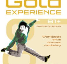 {epub descargar} GOLD EXPERIENCE LANGUAGE AND SKILLS WORKBOOK B1+