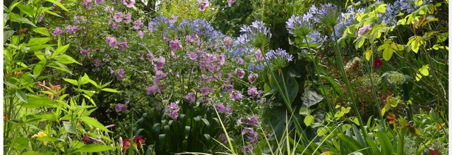 Quelques scènes du jardin