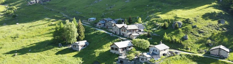 Dans le vallon de l'Orgère