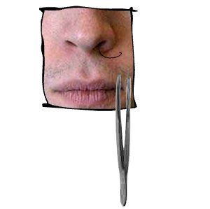 Nose