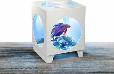 Pourquoi il ne faut VRAIMENT pas acheter : des lampes de chevet avec un poisson vivant...