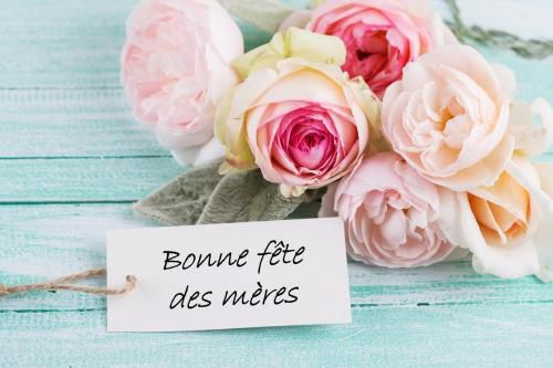 Un jardin rempli de roses