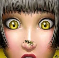 Extension du domaine de la guêpe