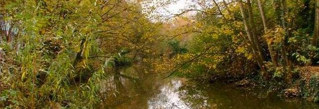 Canal d'Ille et Rance - Bretagne