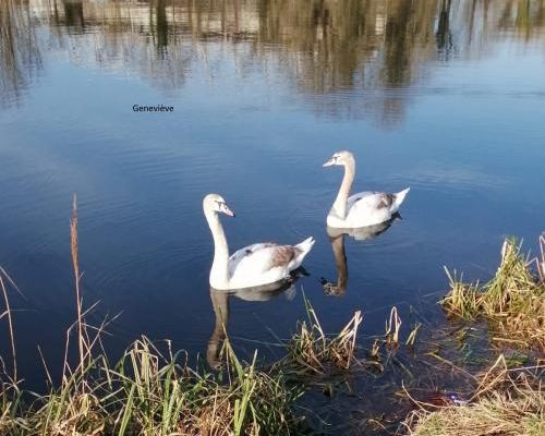 Reflets du mois d'avril 2024.