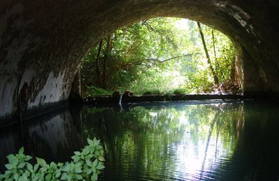 dans les jardins d'alfabia - mare