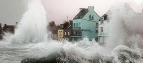 Le chat dans la tempête