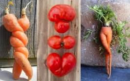 Les légumes "moches".
