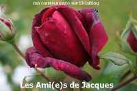 Pour toi mon ami Jacques