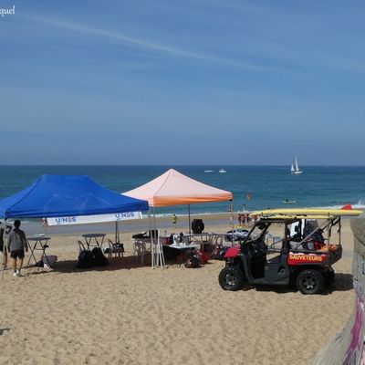 Une balade à CAPBRETON (40), le 1er octobre...