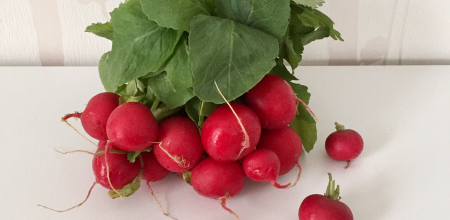 Mars 2020 : Les fruits & Légumes de saison 