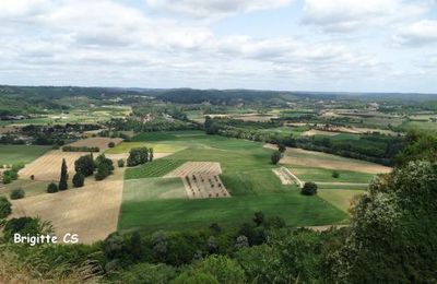 La bastide de Domme : le panorama...