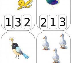 Cartes à compter oiseaux