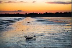 Une bouteille à la mer ...