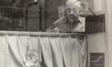 Les chats de Paris : 