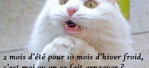 Arnaque
