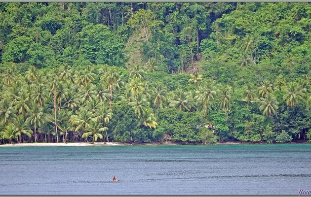 14/11/24 : après 36 h de navigation, nous arrivons en vue des côtes de Papouasie Nlle-Guinée. Une fois le navire amarré au quai du port d'Alotau, un spectacle de chants et danses papous est donné