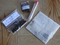 EB - Mes plantules de lotus 2 mois plus tard...