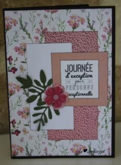 Une nouvelle carte pour fêter un anniversaire...