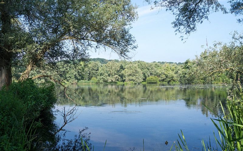 Au pays sous la mer... (1) 