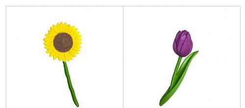 Images classifiées : Fleurs (tube Safari) 