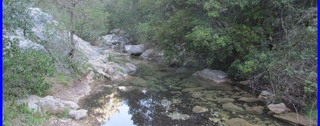 Gorges du Destel, la remontée intégrale et autres...